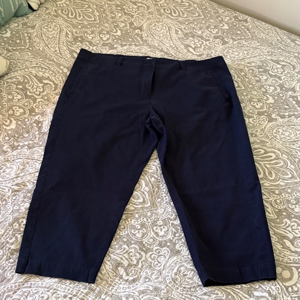 Eileen Fisher Navy Capris